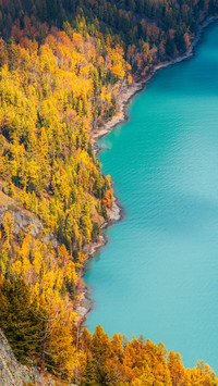 The lake and its shore
