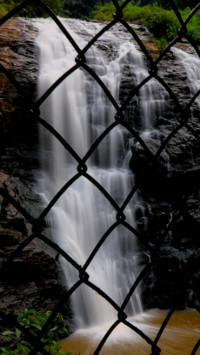 Untitled design (11)