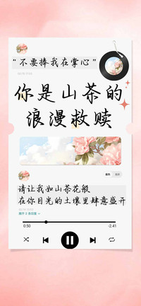 你是山茶的浪漫救赎