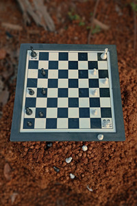 1000227559.jpg