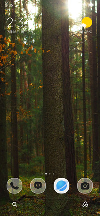 Sunlit Canopy