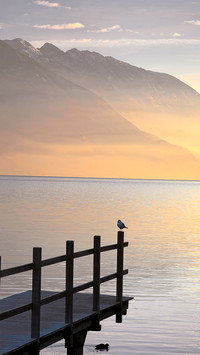 Nature's Masterpiece
