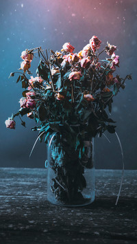 international_plant (8)