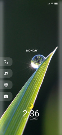 Morning_Two