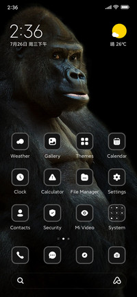 Gorilla