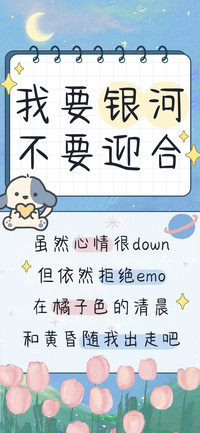 我要银河不要迎合