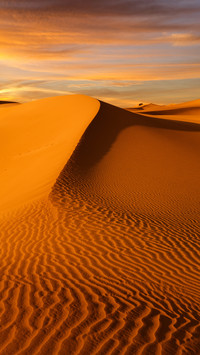 Desert feelings are more than Sahara 95