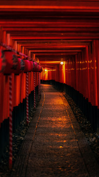 鸟居步道