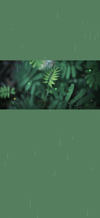 治愈正能量