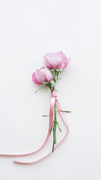The rose says is not necessarily love 0
