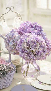 These things about Hydrangea 5