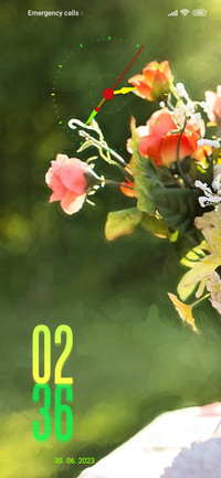 summer garden