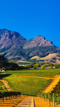 Encounter the beautiful scenery of south africa