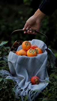 How to warm persimmons