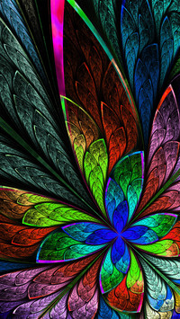 Colorful fractal flowers