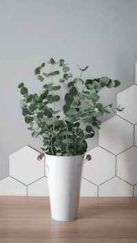 Still life of plants