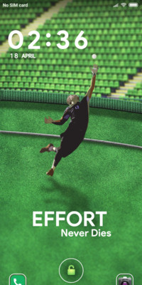Effort_Cricket