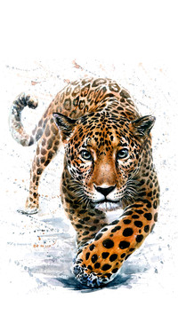 Wild Oil Painting