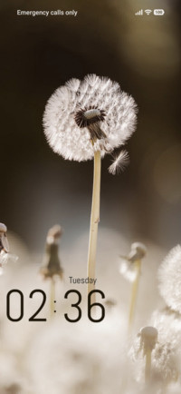 Flower Light