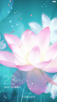 莲花盛开（动态唯美小清新）