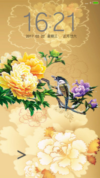 富贵牡丹