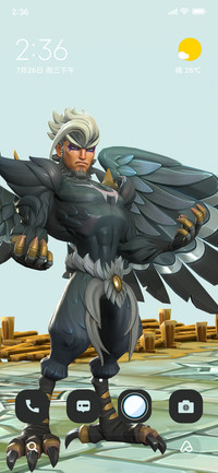 Night Raven