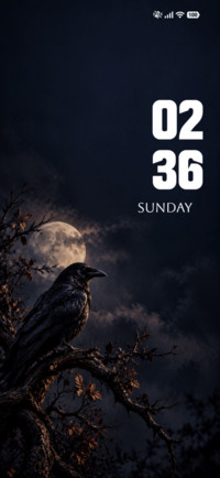 Midnight Raven