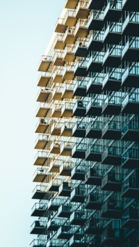 Urban Jungle (3)