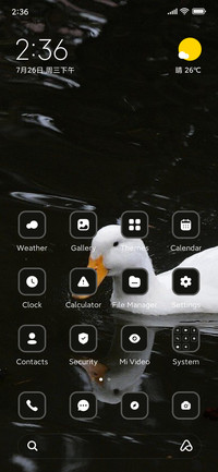 Duck