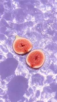 水池里的夏日切片