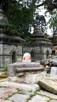Naga Panchami (1)