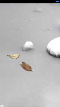 静美如画