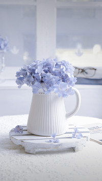 People who love flowers and plants deserve deep friendship 8
