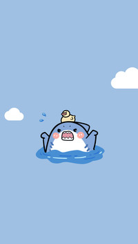 可爱小鲨鱼-顶晟科技