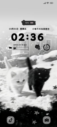 猫咪冬日的暖宝宝