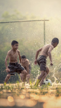 Sports (6)