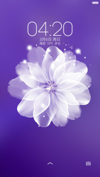 紫色魅惑（好评送壁纸）