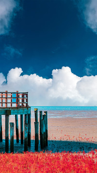 Red beach cloud shadows
