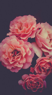 Rich Colors (6)