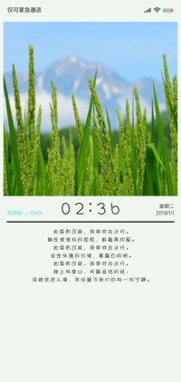 风吹稻穗