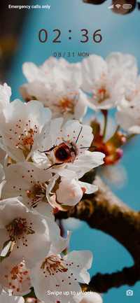 Spring Flowers_3MDS