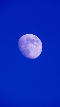 Moon Wallpaper