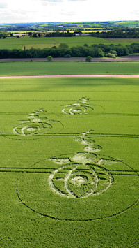 Mysterious wheat field circles