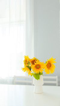 Sunflowers in a white vase stand on a white table