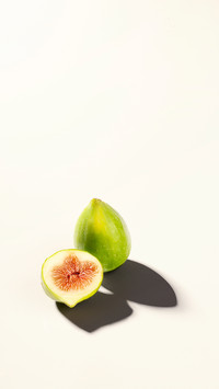 Delicious fruit-06