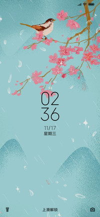 花鸟缘