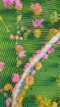 March travel destination