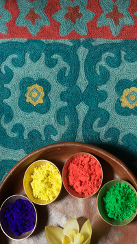 India-Holi (6)