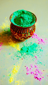 India-Holi (18)