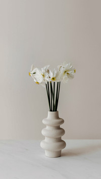 White Daffodils in Modern Vase on White Table